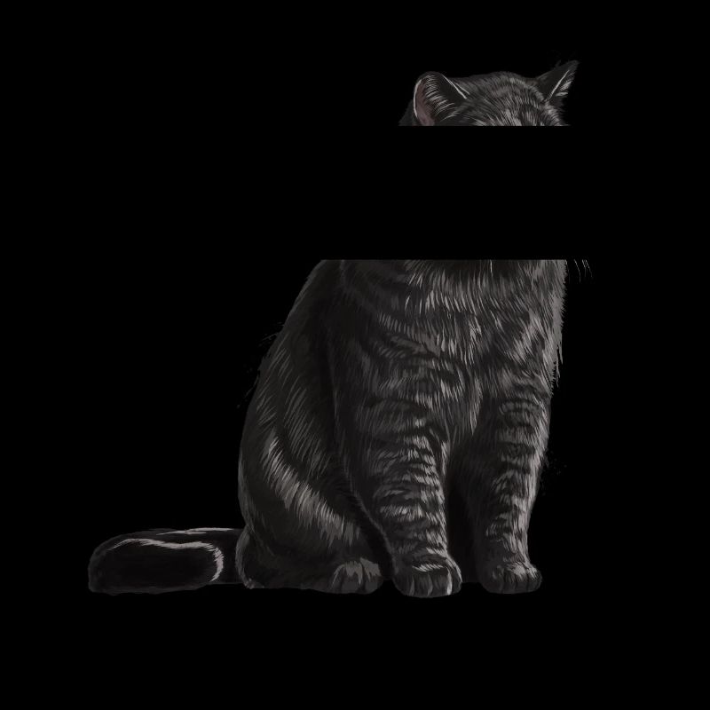 Sitzende Schwarze Britisch Kurzhaar Katze