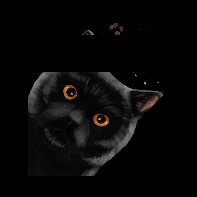Neugierige Schwarze Britisch Kurzhaar Katze