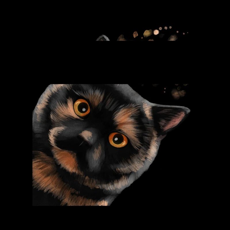 Neugierige Tortoiseshell Britisch Kurzhaar Katze
