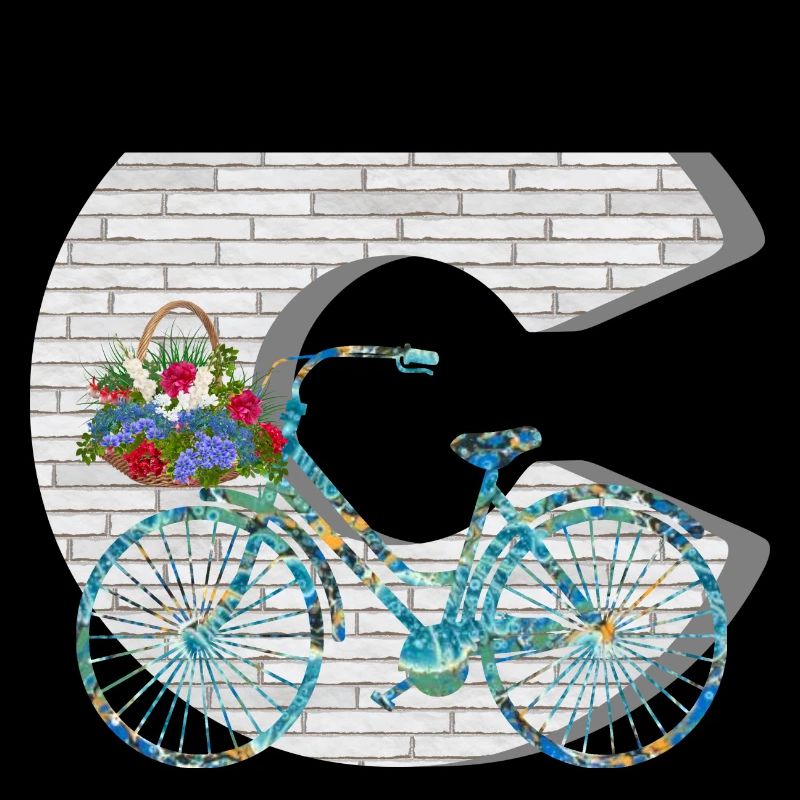 vélo e 100 c