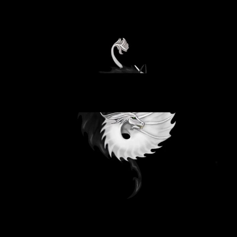 Yin Yang Drachen
