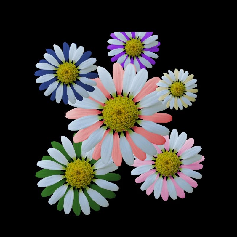 Fleur, Fleur, Fleurs, Fleur, Floral