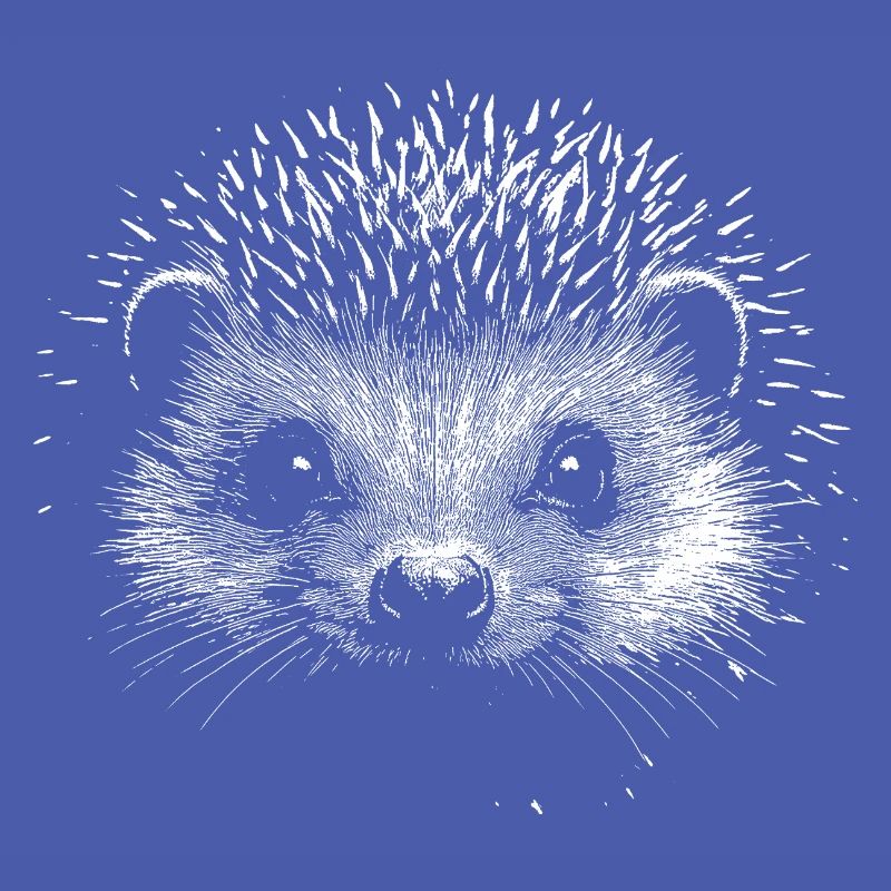 Hérisson
