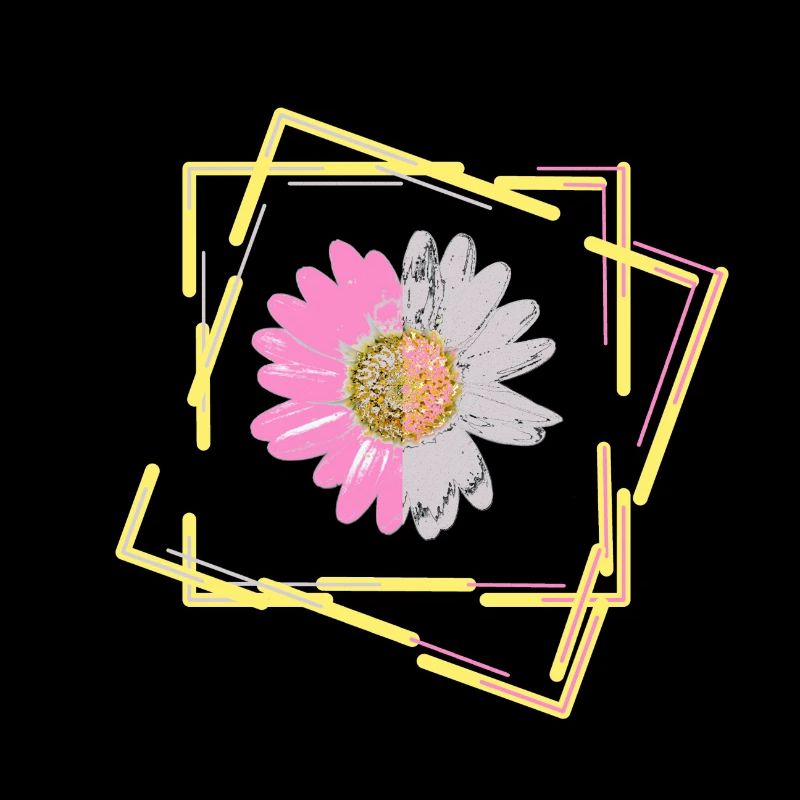 Marguerite, fleur, fleur