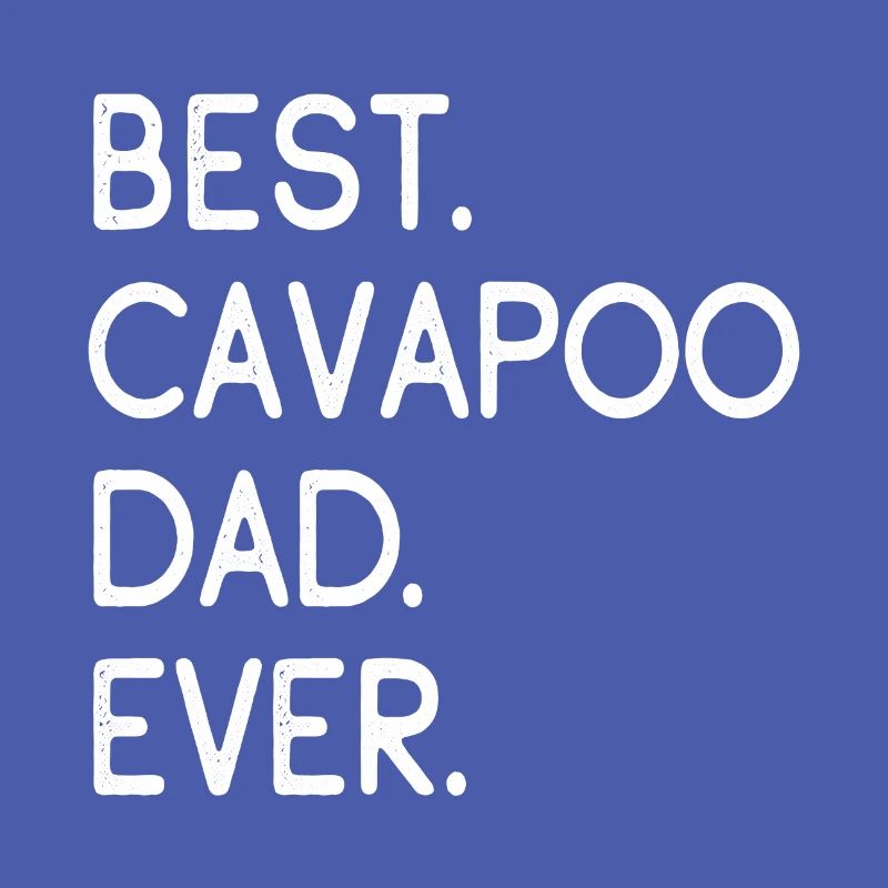 Cavapoo Cavoodle