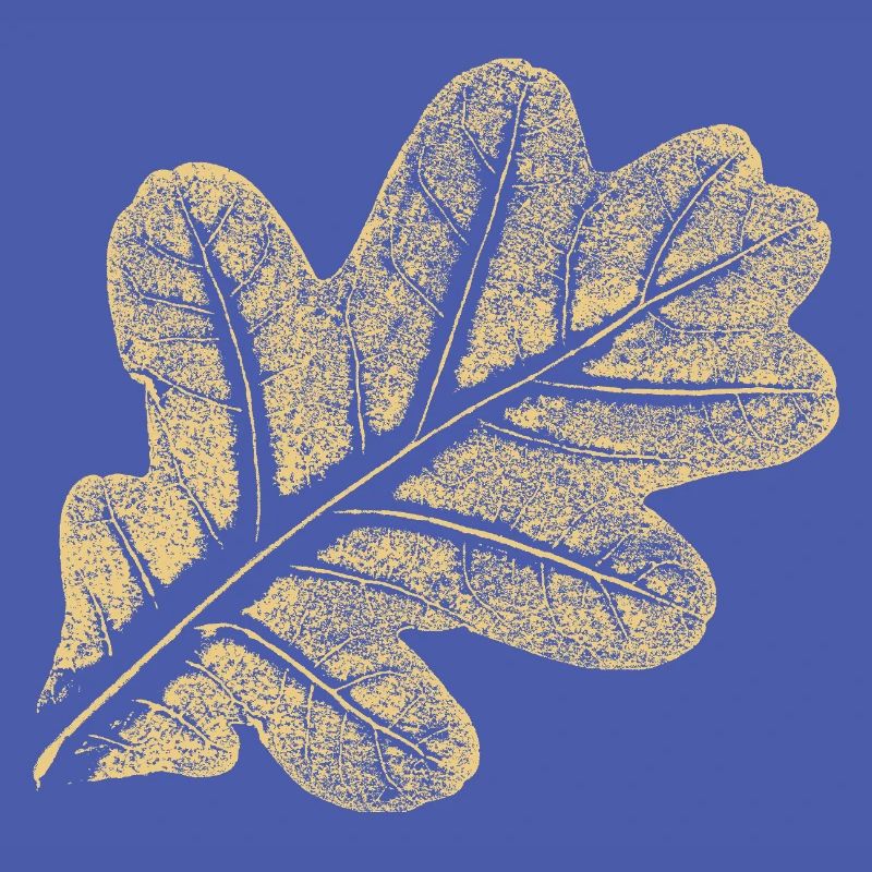 Blatt Eiche / Eichenblatt - Natur Design