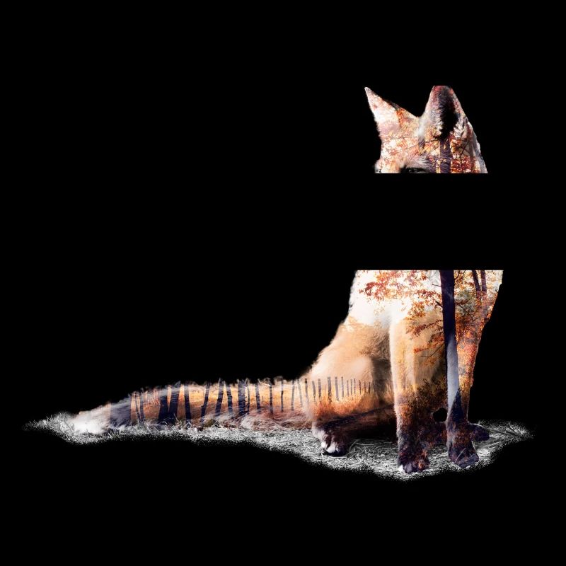 Fuchs