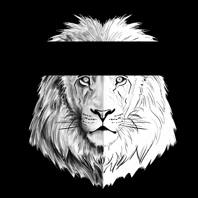 An interesting drawn lion