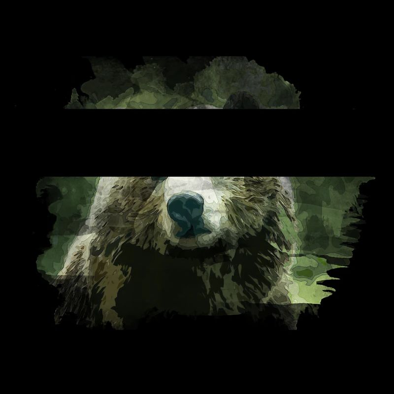 Bär