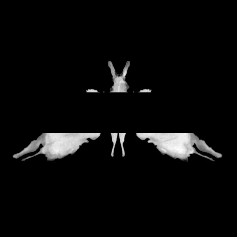 Rorschach panel 5/10 inverted