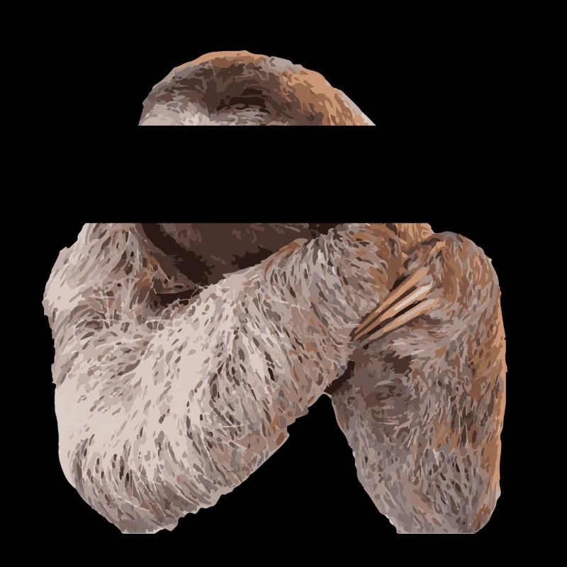Faultier / Sloth