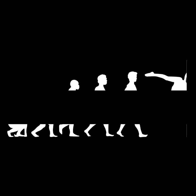 Evolution Poledance Pole Dancing Danse