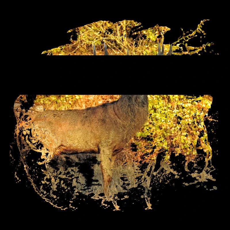 Capital Hirsch released for launch