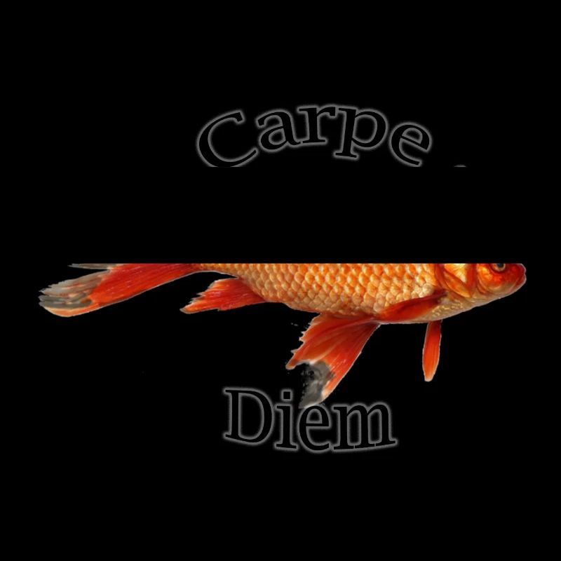 Carpe Diem !