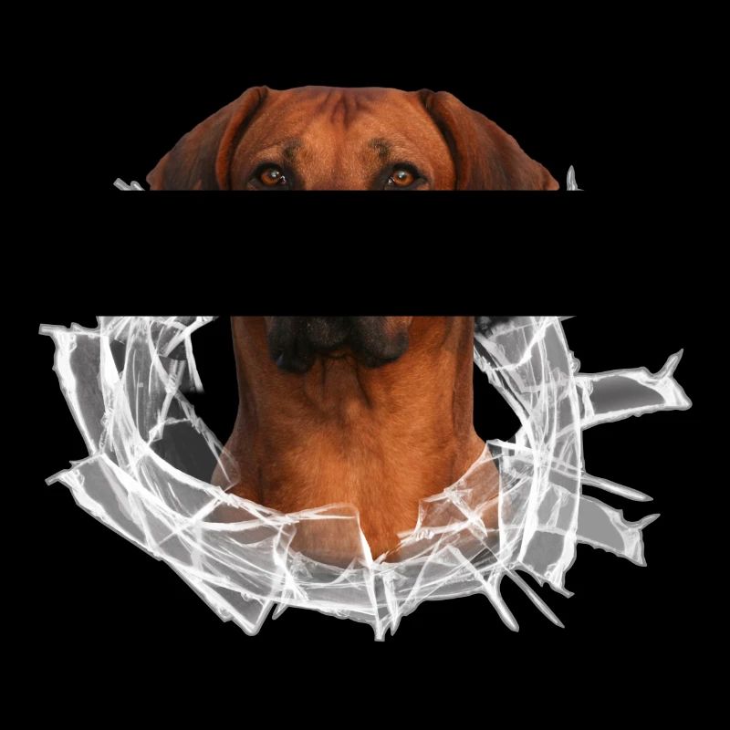 Rhodesian Ridgeback auf Glas