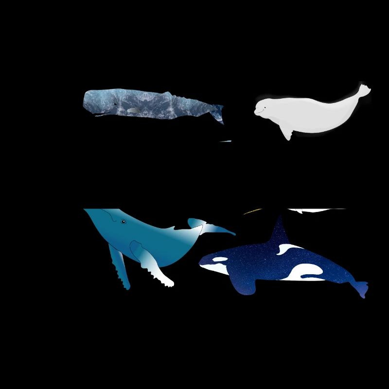 whales