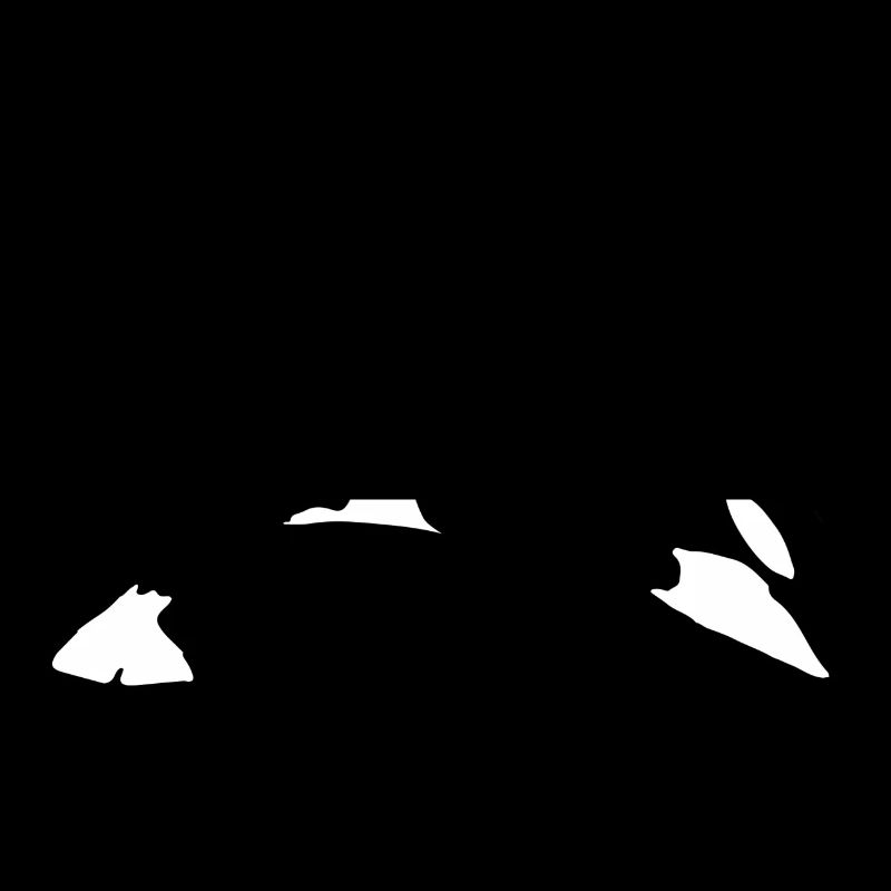 Orca
