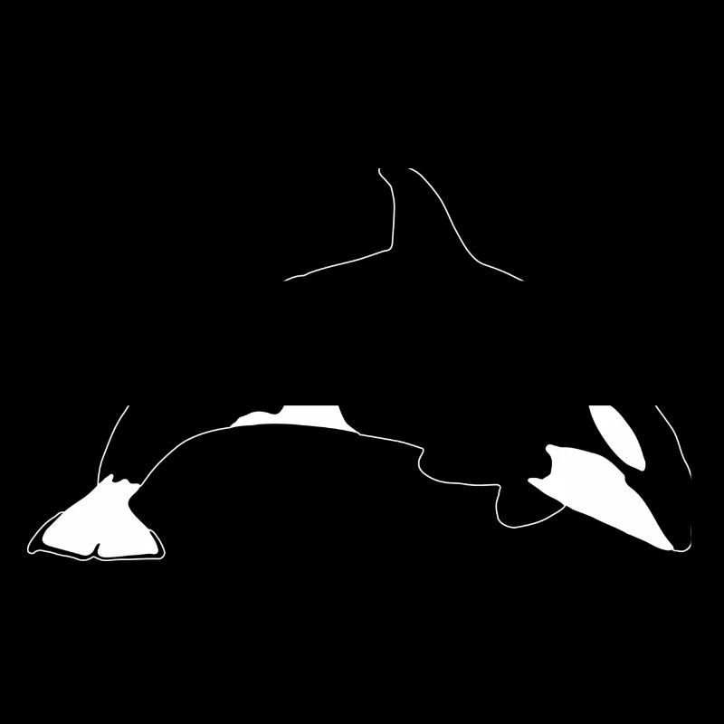 Orca