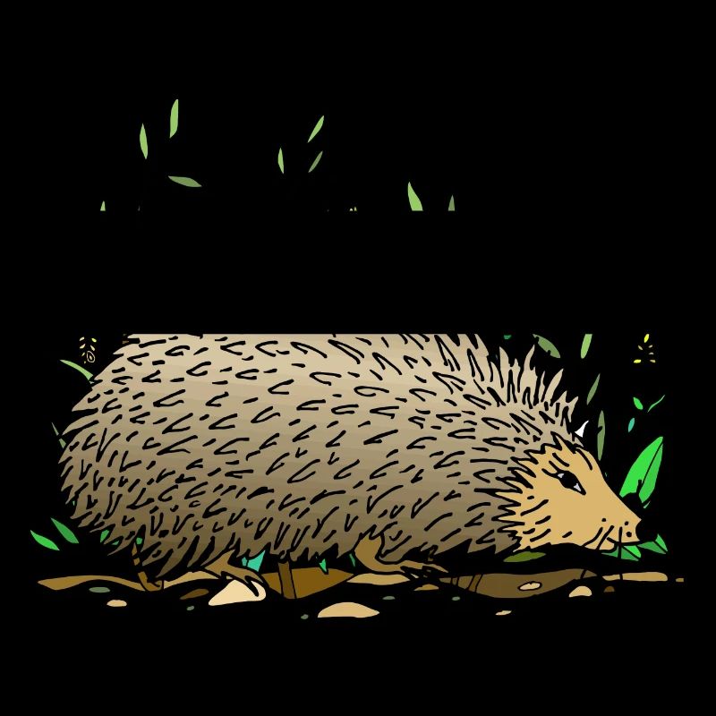 Igel