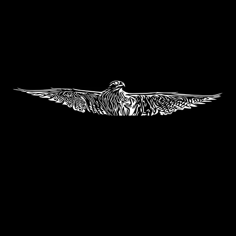 Hawk in flight