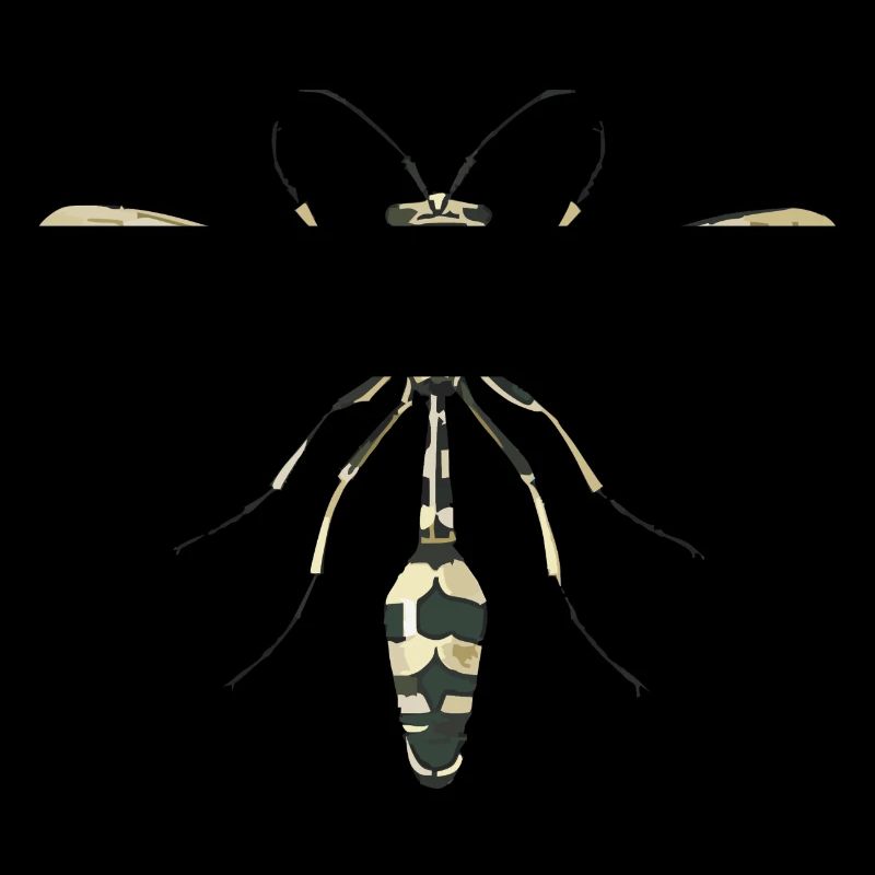 insecte