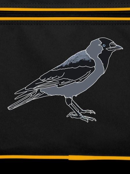 Jackdaw