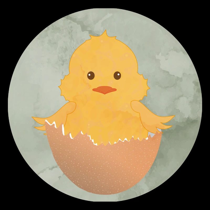 newly hatched chick in the eggshell