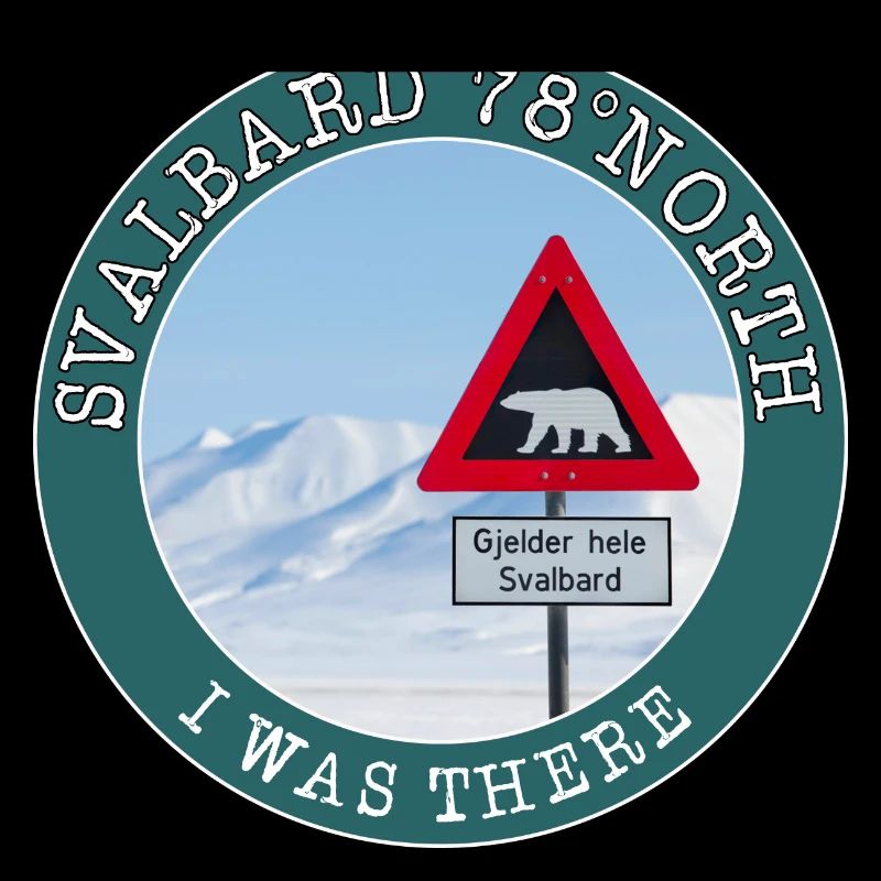 Svalbard 78 North I was there. North pole Arctic