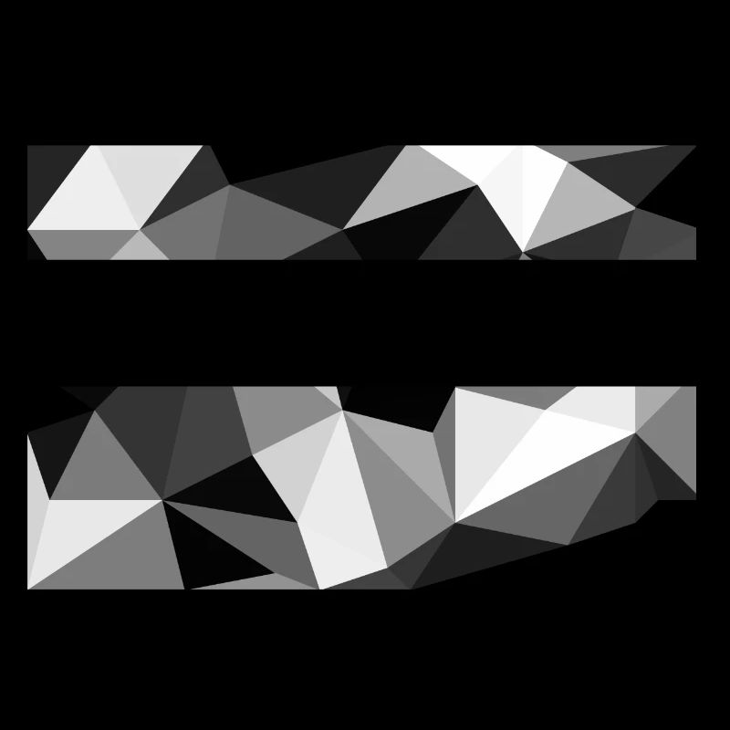 Polygon Black and White