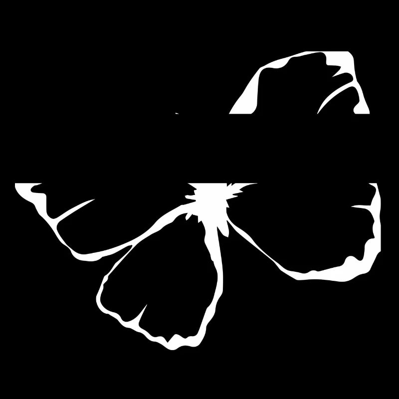 Papillon illustré blanc