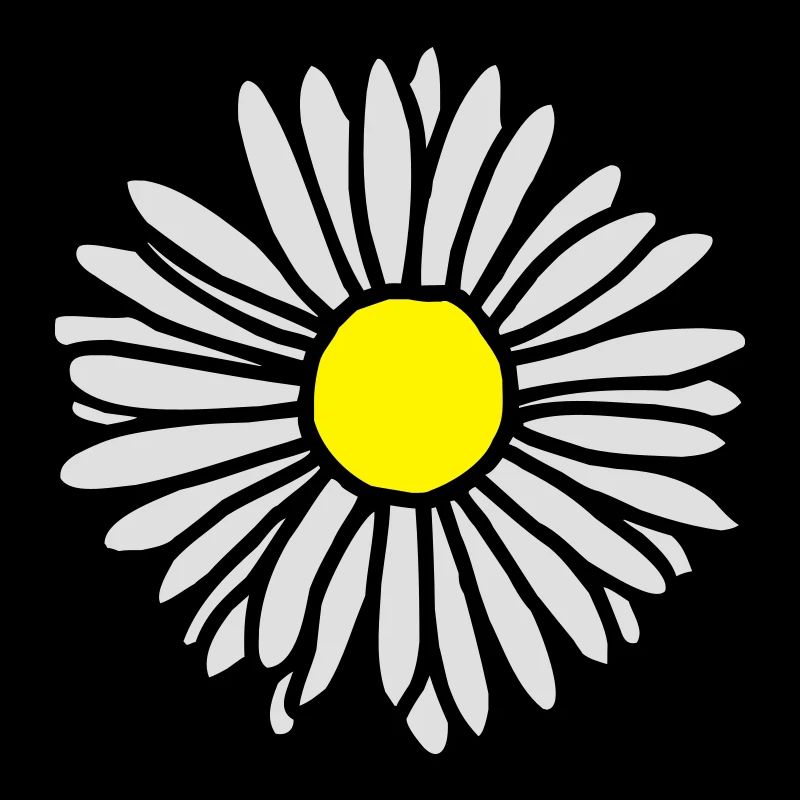 Gänseblümchen zweifarbig