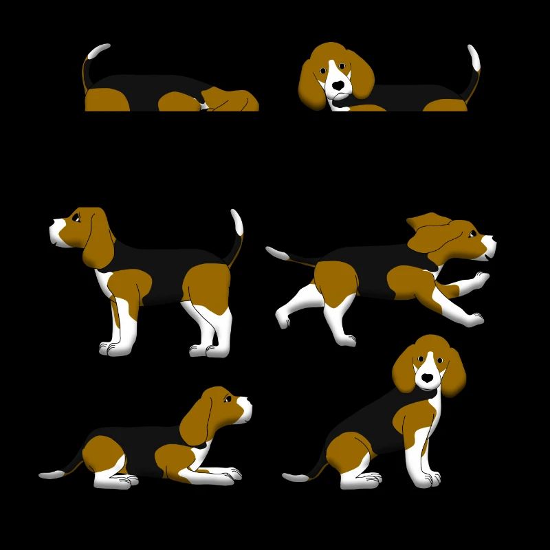 Beagle selection