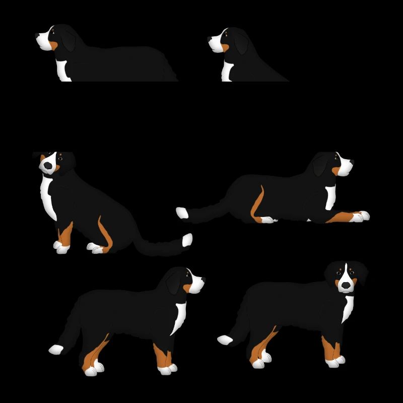 Sélection de Bouvier Bernois