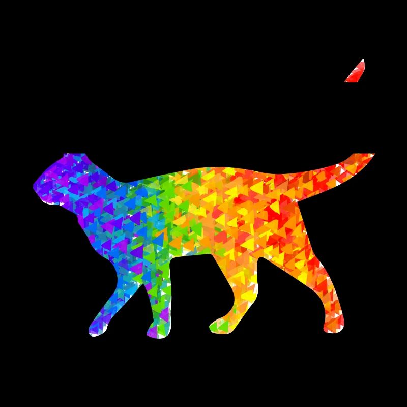 Regenbogen-Katze