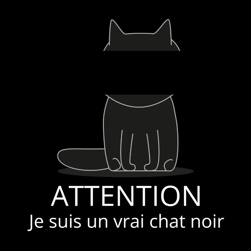 Chat noir