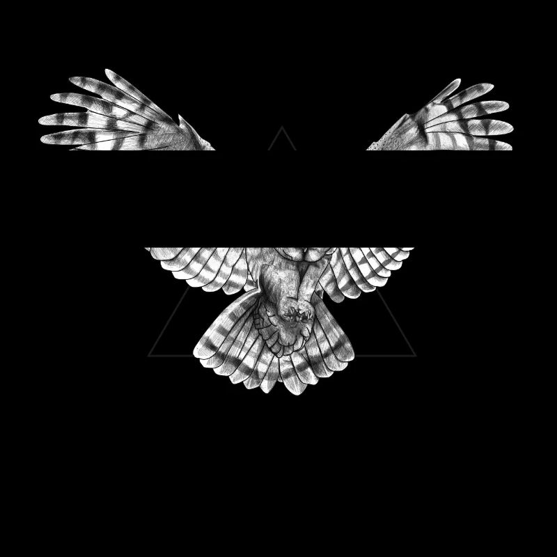Ja Owl