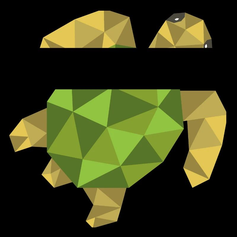 Turtle Geometric Gift Triangle Hipster