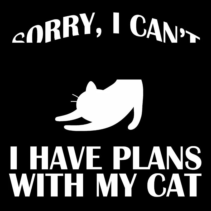 Chat chat minou Minou Chat Minou