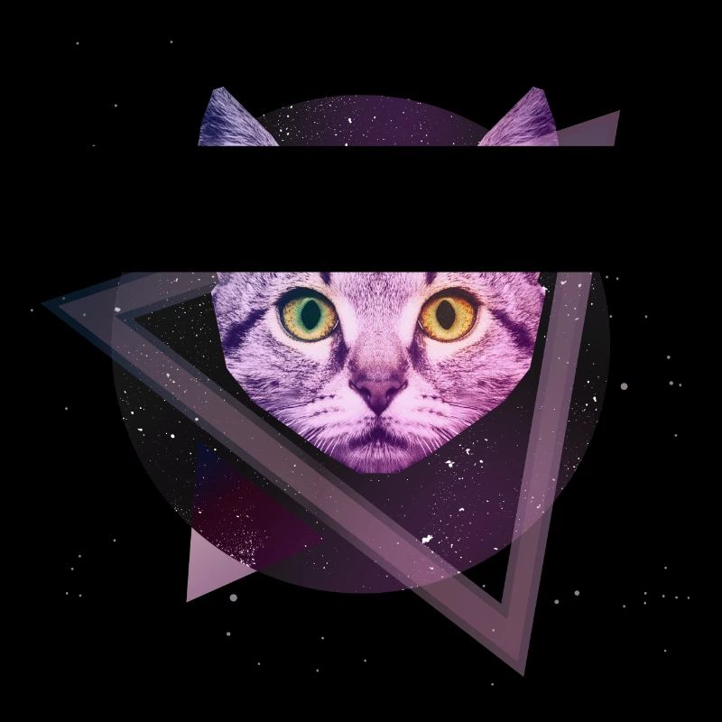 Chat de l'espace
