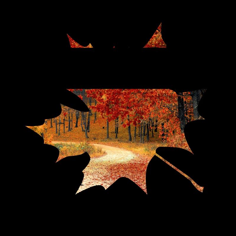 Feuillage de forêt de feuille d'érable automne