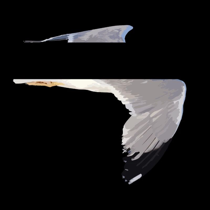 Möwe