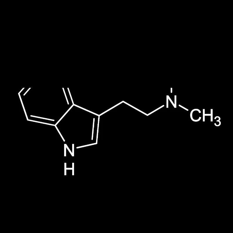 DMT