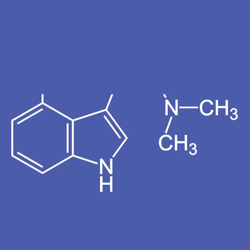 Psilocin Molecule