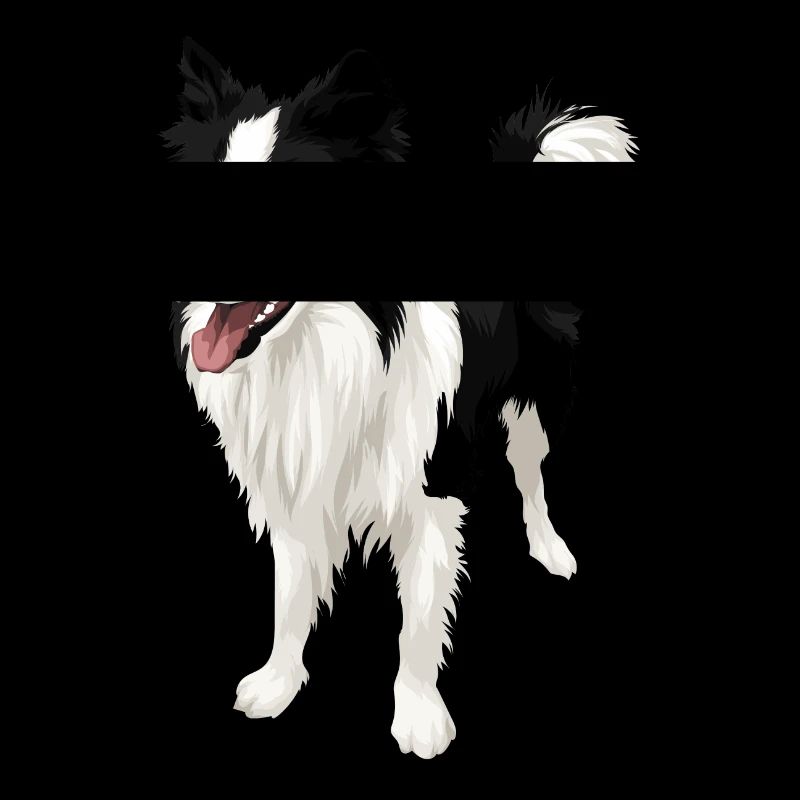 Limitée! Border Collie Amour