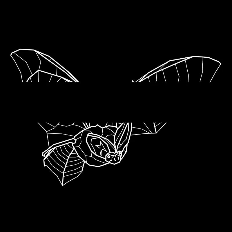 Long-eared bat white