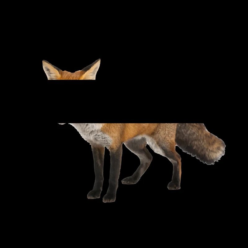 Fuchs
