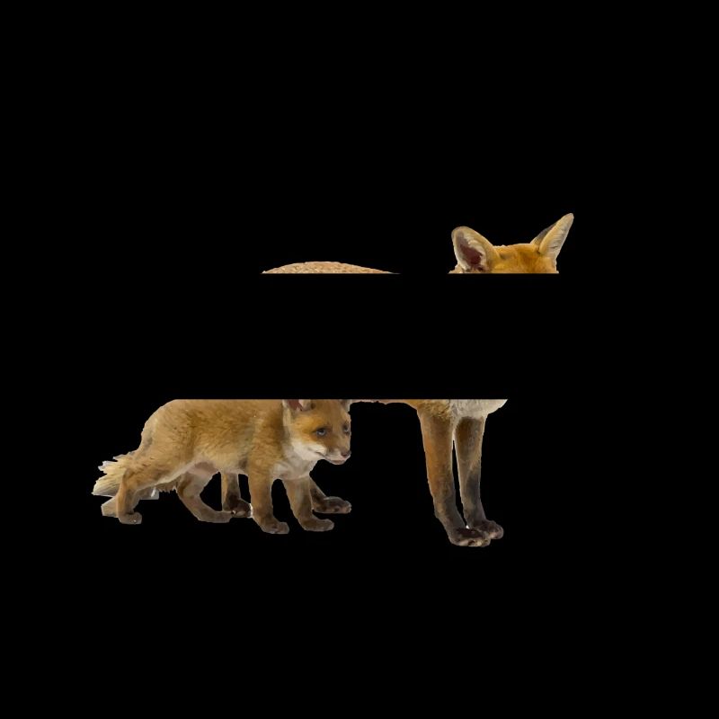 Fuchs