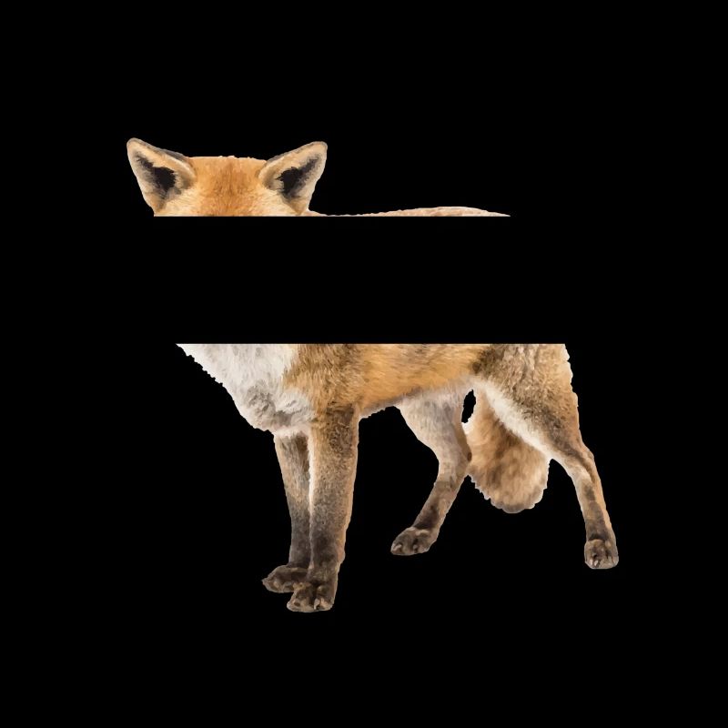 Fuchs