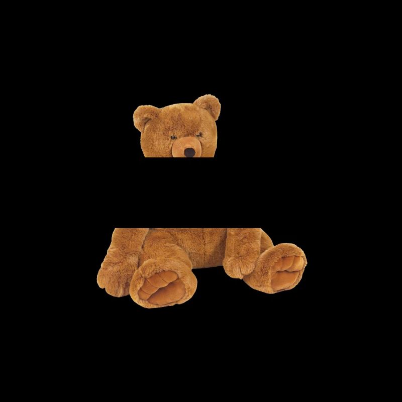 Teddy bear on the TShirt as a gift Gift idea