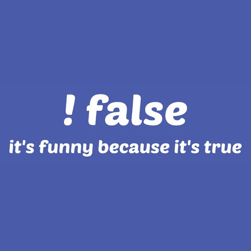 False It's Funny Because It's True Programmer Comp